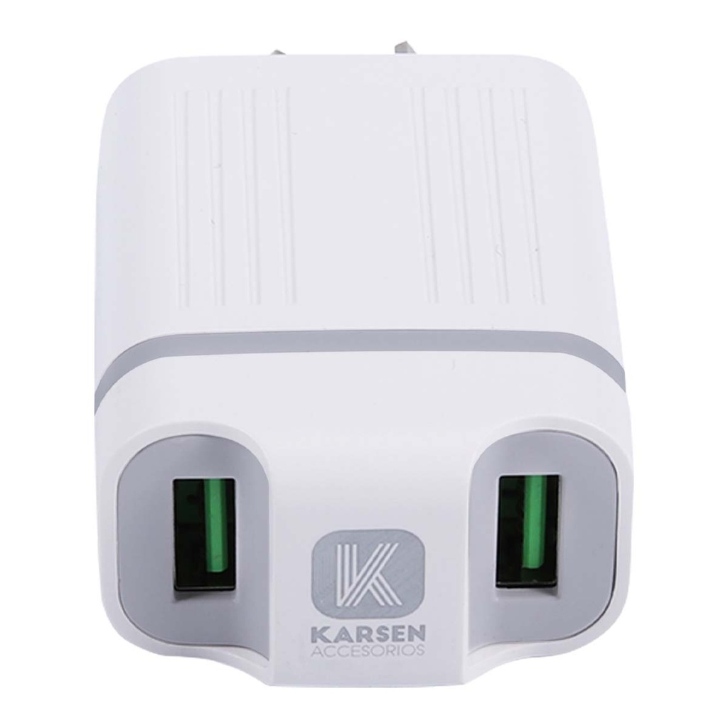 Cargador 220v 3150 3.1 Tipo C Gris